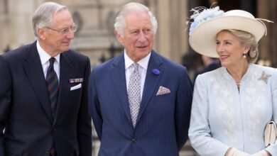 Senior Royals Step Up for King Charles With Major Overseas Moves as Palace Faces Fresh Pressure