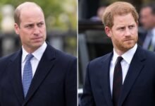 Prince William and Prince Harry’s Uncle Reveals True Feelings About Their Painful Estrangement