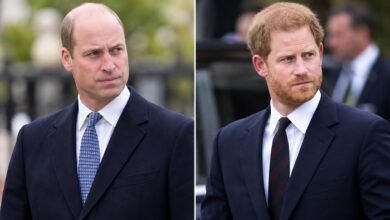 Prince William and Prince Harry’s Uncle Reveals True Feelings About Their Painful Estrangement