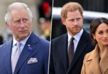 King Charles Takes Step Closer to Harry, Meghan as William Rift Shows No Sign of Thawing