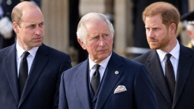 King Charles and Prince William Face Fresh Questions As Prince Harry Remains Silence Over Spencer Book