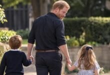 Prince Harry Reveals How Archie and Lilibet Feel About New UK School After Sudden Move