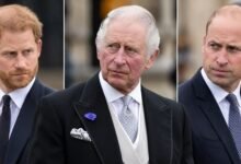 King Charles and Prince William Keeping Close Eye on Prince Harry as Duke Pushes Ahead With UK Engagements