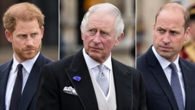 King Charles and Prince William Keeping Close Eye on Prince Harry as Duke Pushes Ahead With UK Engagements