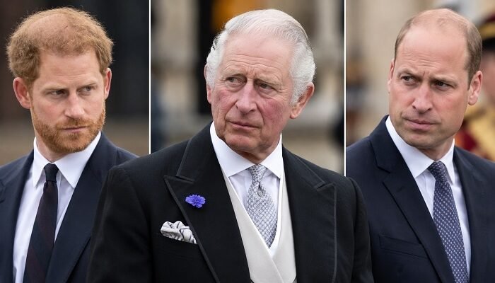 King Charles and Prince William Keeping Close Eye on Prince Harry as Duke Pushes Ahead With UK Engagements