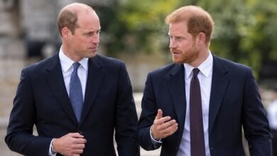 Prince William and Prince Harry’s Uneasy Truce Faces Fresh Test Over Emotional Diana Project