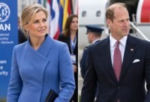 Duchess Sophie Takes on Important Hague Mission as Prince Edward Begins USA and Canada Tour