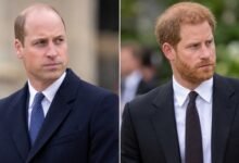 Prince William Makes Feelings Clear on Harry Reunion as Emotional Diana Anniversary Approaches