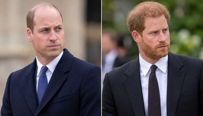 Prince William Makes Feelings Clear on Harry Reunion as Emotional Diana Anniversary Approaches
