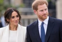 Prince Harry and Meghan Markle Receive Powerful Support for Royal Exit Despite Major UK U-Turn