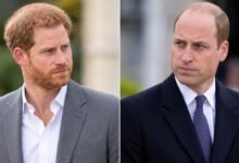 Prince Harry Drawn Into Fresh Prince William Tensions as Betrayal Claim Emerges