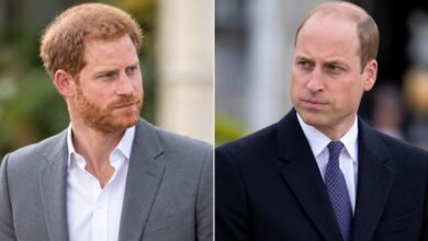 Prince Harry Drawn Into Fresh Prince William Tensions as Betrayal Claim Emerges