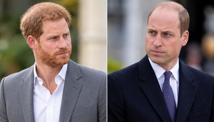 Prince Harry Drawn Into Fresh Prince William Tensions as Betrayal Claim Emerges