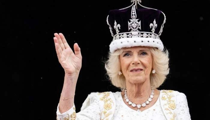 Queen Camilla Put Her Differences With Prince Harry Aside As King Charles Health Concerns Deepen