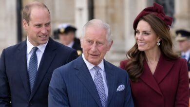 King Charles Takes Prince William and Princess Kate On Board Over Harry’s UK Return