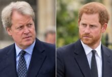 Charles Spencer Break Silence and Clears Prince Harry from Diana Book Involvement