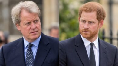Charles Spencer Break Silence and Clears Prince Harry from Diana Book Involvement