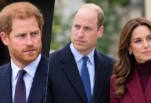 Prince Harry’s Heartfelt Wish for Prince William and Princess Kate Revealed as Diana Anniversary Approaches