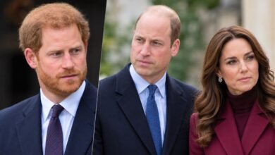 Prince Harry’s Heartfelt Wish for Prince William and Princess Kate Revealed as Diana Anniversary Approaches