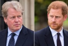 Prince Harry’s Plea to Uncle Emerges as Charles Spencer Takes Surprise Step to Protect Him