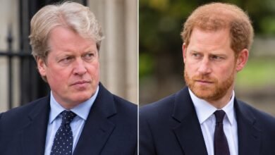 Prince Harry’s Plea to Uncle Emerges as Charles Spencer Takes Surprise Step to Protect Him