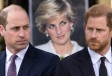 Prince William Makes Calculated Diana Move as Prince Harry Faces Pressure Over Diana Documentary Plans