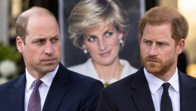 Prince William Makes Calculated Diana Move as Prince Harry Faces Pressure Over Diana Documentary Plans