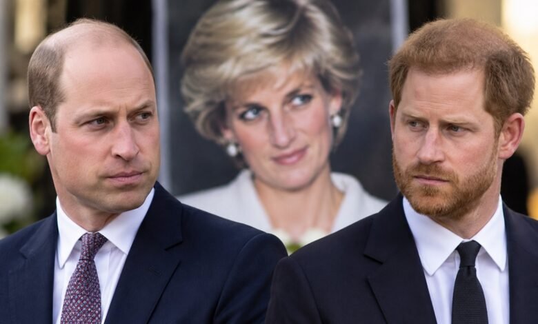 Prince William Makes Calculated Diana Move as Prince Harry Faces Pressure Over Diana Documentary Plans