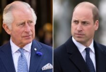 King Charles and Prince William Face Unexpected Princess Diana Legacy Test