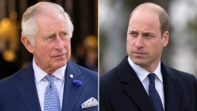 King Charles and Prince William Face Unexpected Princess Diana Legacy Test