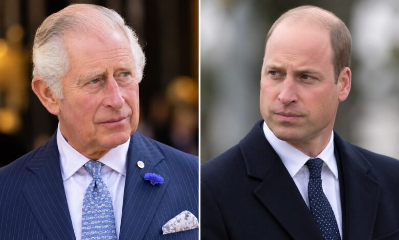King Charles and Prince William Face Unexpected Princess Diana Legacy Test