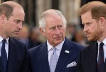 Palace Quietly Considers Emotional Prince William and Harry Reunion With King Charles Raising No Objection