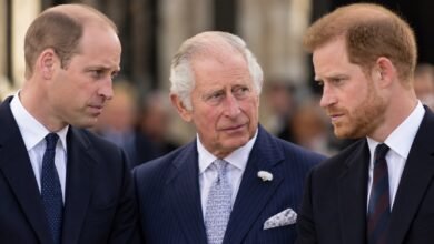 Palace Quietly Considers Emotional Prince William and Harry Reunion With King Charles Raising No Objection