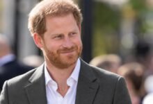Prince Harry Earns Heartwarming New Title After Unexpected Celebrity Encounter