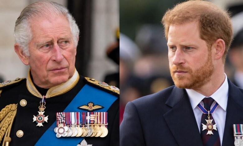 Prince Harry Sends Emotional Signal to King Charles as Military Role Hopes Resurface