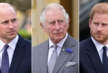 King Charles and Prince William’s Latest Move Leaves Prince Harry Frustrated as Family Rift Deepens