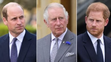 King Charles and Prince William’s Latest Move Leaves Prince Harry Frustrated as Family Rift Deepens