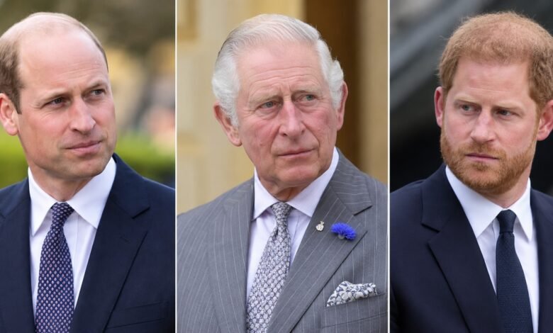 King Charles and Prince William’s Latest Move Leaves Prince Harry Frustrated as Family Rift Deepens