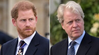 Prince Harry Turns to Earl Spencer as Diana’s Brother Reveals Who Reaches Out More