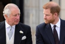 Prince Harry Once Broke Sandringham No Fly Rule as King Charles Gave Unexpected Response