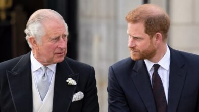 Prince Harry Once Broke Sandringham No Fly Rule as King Charles Gave Unexpected Response