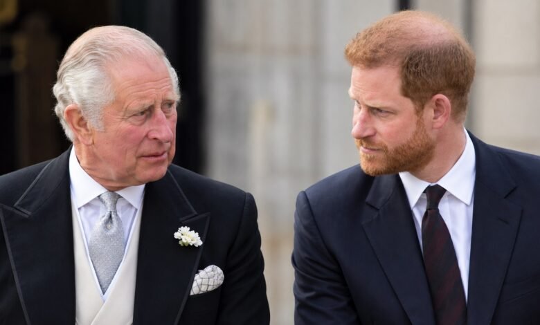 Prince Harry Once Broke Sandringham No Fly Rule as King Charles Gave Unexpected Response