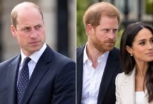 Prince William Unveils Wildfire Solution With Surprising Link to Prince Harry and Meghan