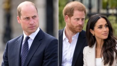 Prince William Unveils Wildfire Solution With Surprising Link to Prince Harry and Meghan