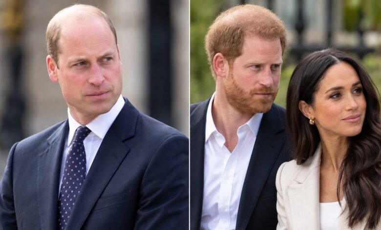 Prince William Unveils Wildfire Solution With Surprising Link to Prince Harry and Meghan