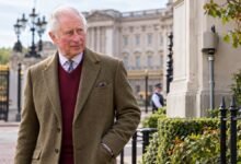 King Charles Team Takes Secret Step to Keep Buckingham Palace Free From Unwanted Intruders