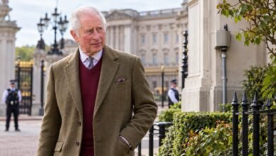 King Charles Team Takes Secret Step to Keep Buckingham Palace Free From Unwanted Intruders