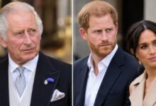 King Charles Plans First Face to Face Meeting With Harry and Meghan Before Christmas