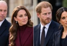 Prince William and Kate Reportedly Decline Prince Harry and Meghan Reunion as Charles Plans Meeting