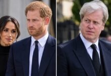 Prince Harry Gives Surprising Reaction to Earl Spencer’s Diana Memoir